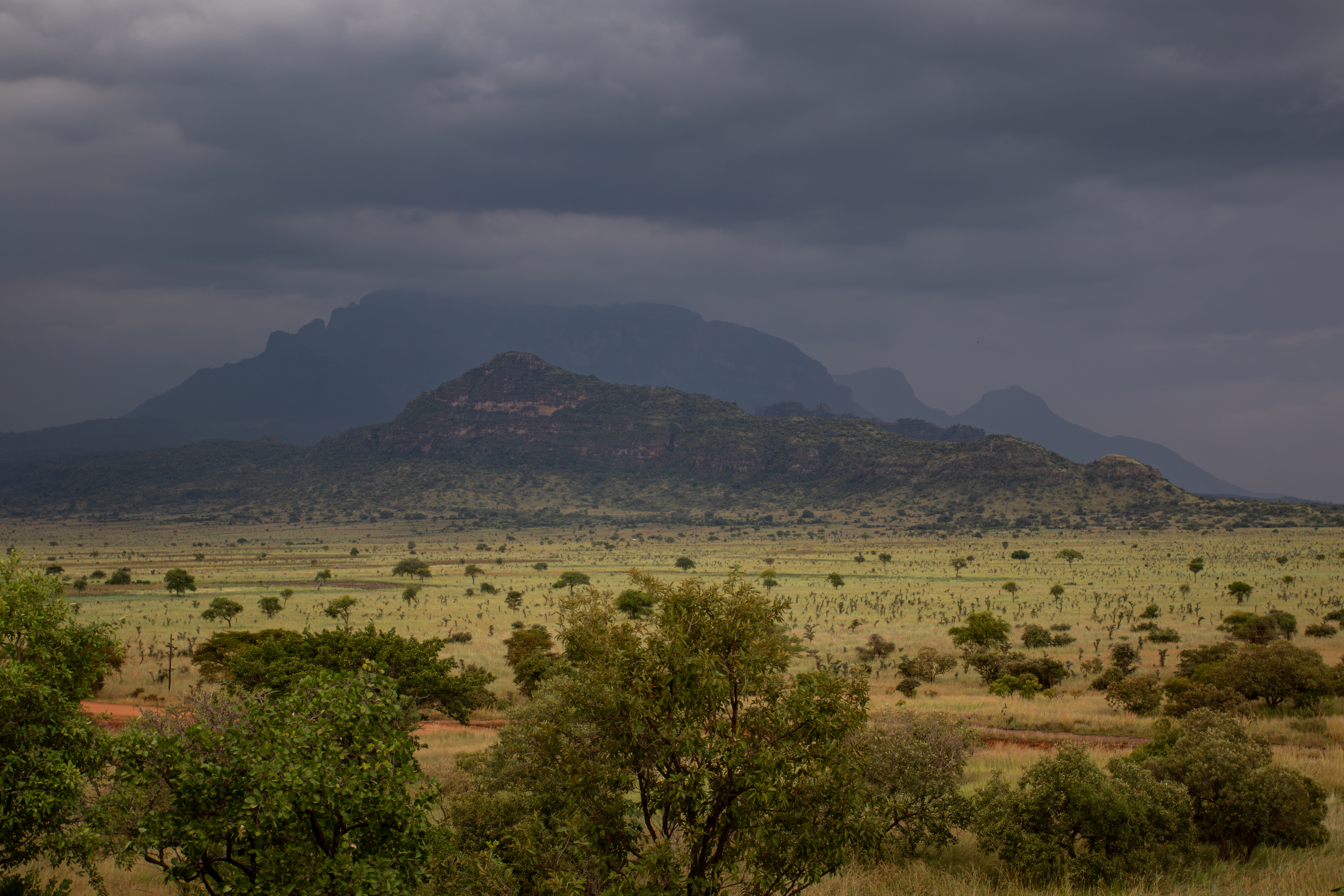 Storm clouds building over the Pian Upe savannah