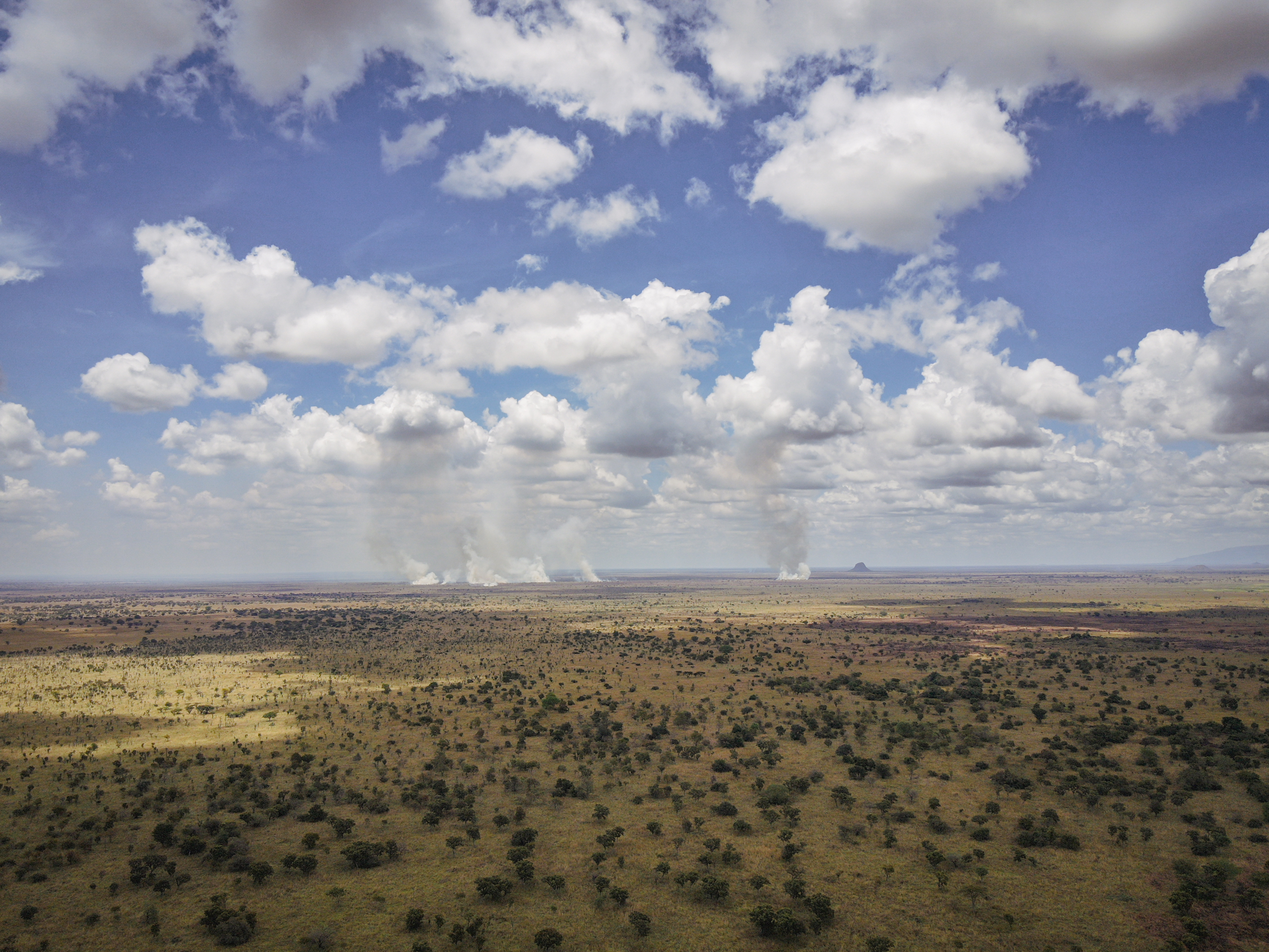 Smoke plumes rising across the reserve, seen from the air