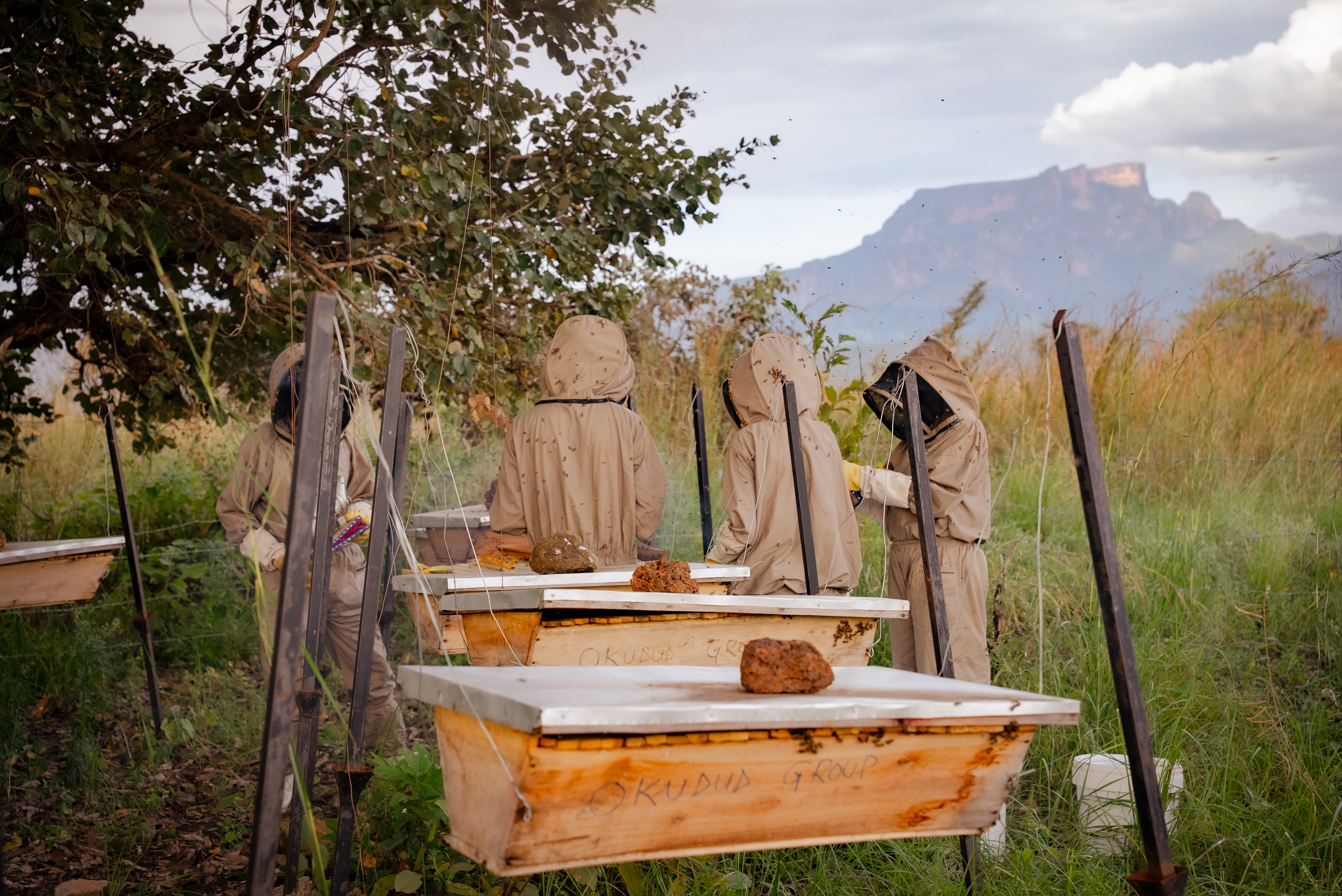 Beekeeping enterprise beneath Mount Kadam