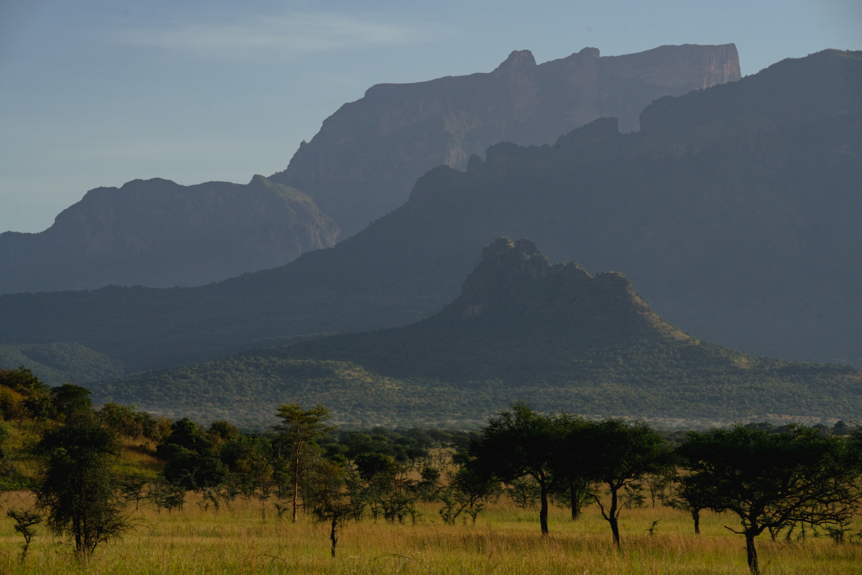 The Pian Upe rangeland under restoration