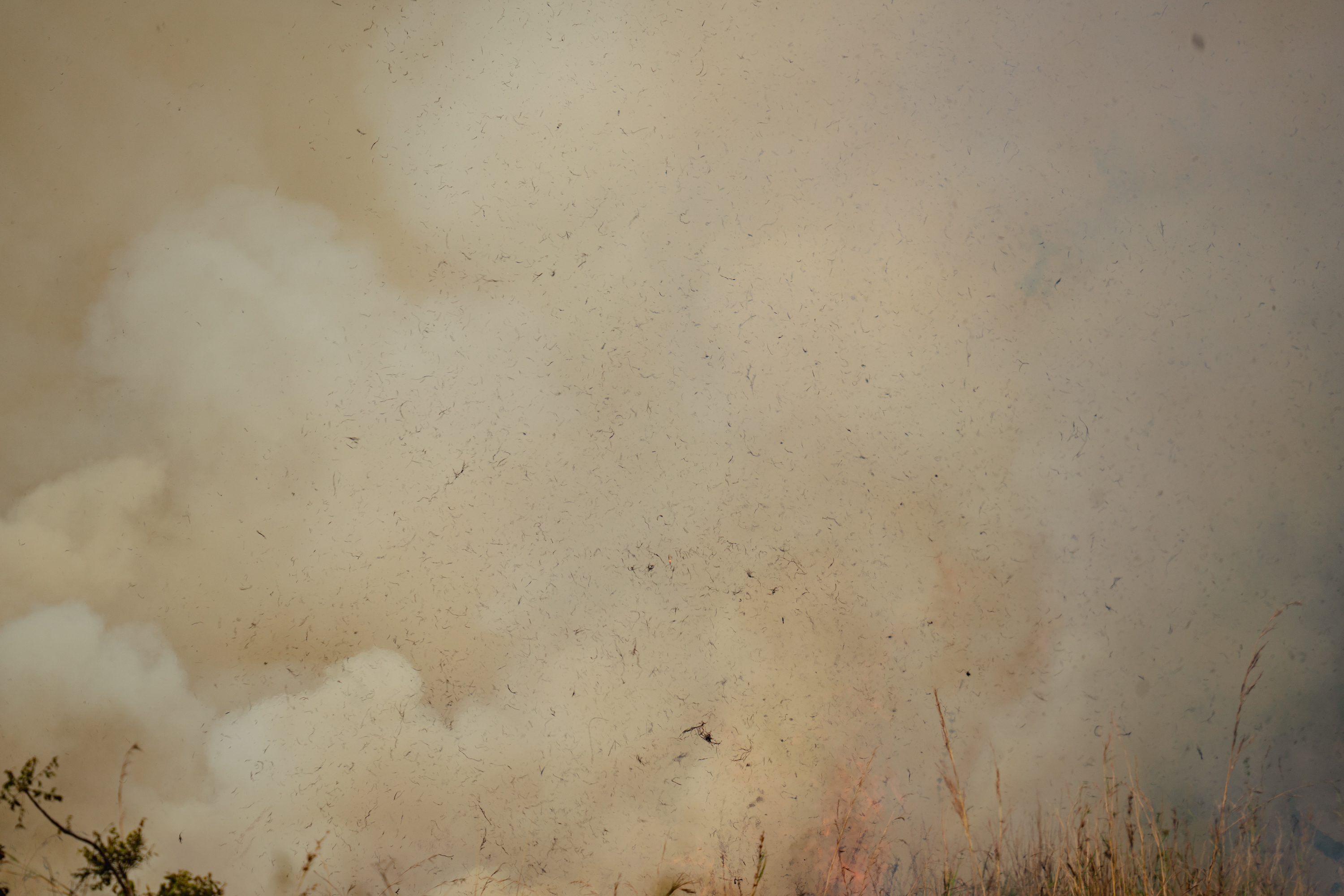 Smoke and embers filling the air above burning grass