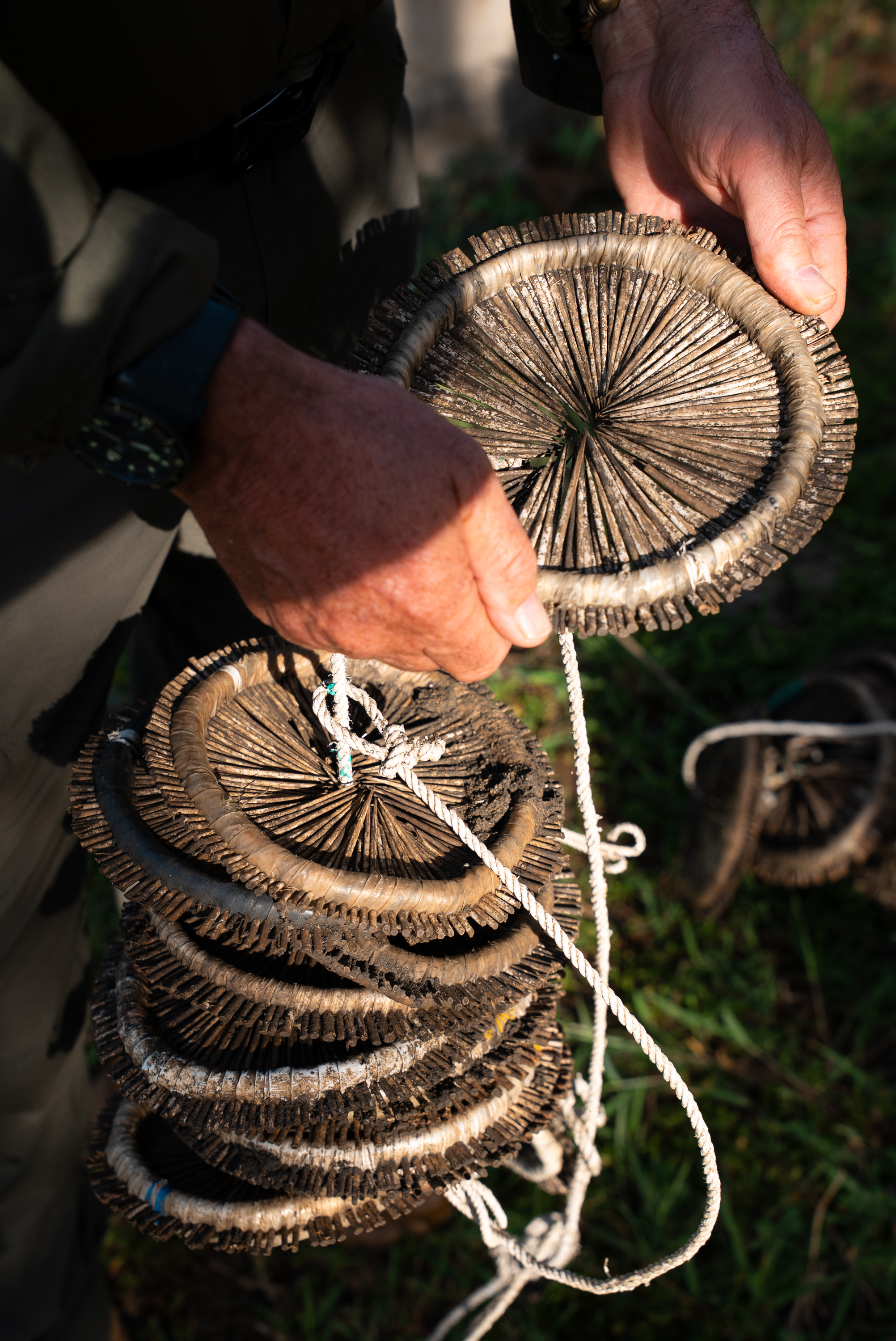 A ranger holding wheel traps recovered on patrol