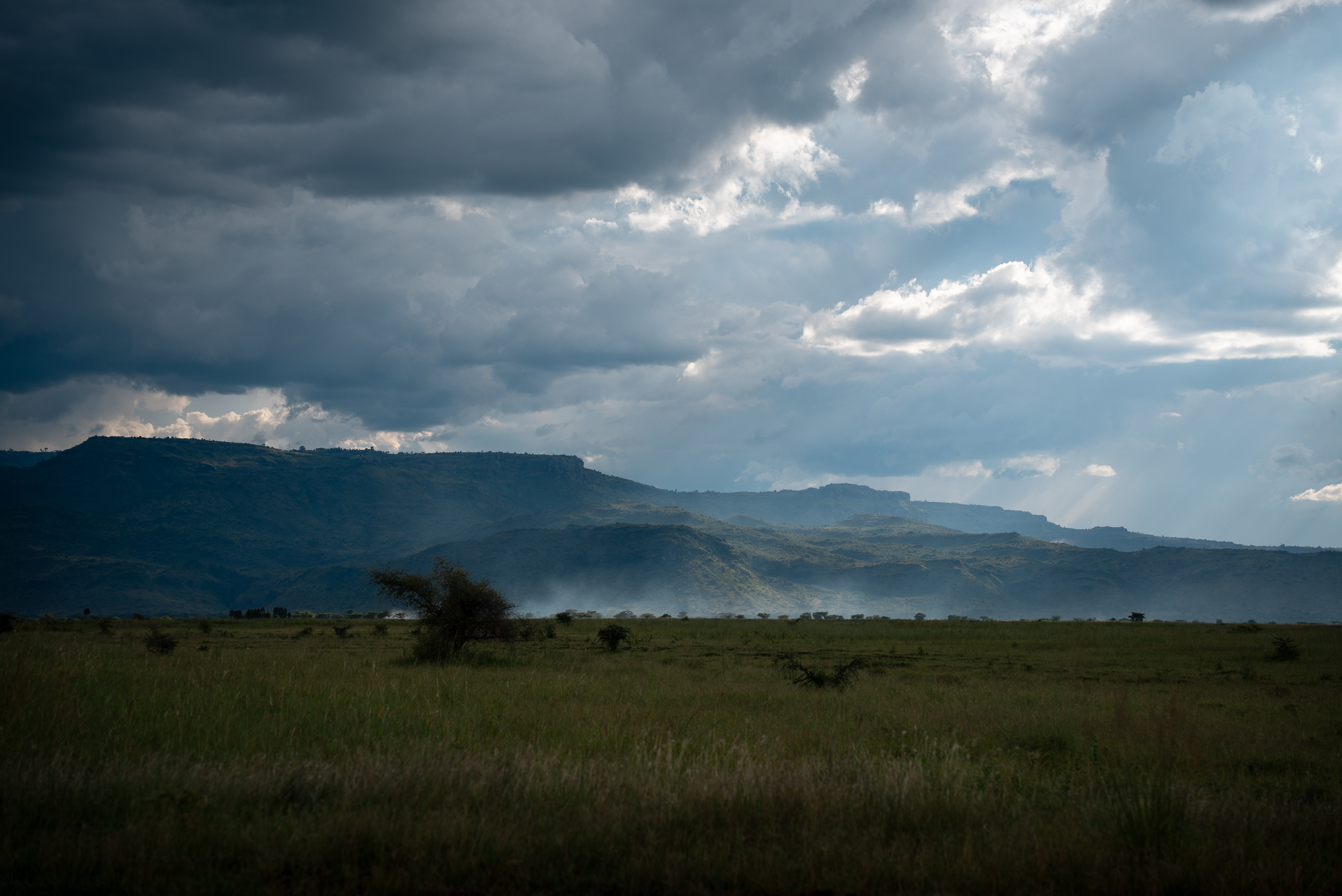 Storm light over the escarpment at the reserve boundary
