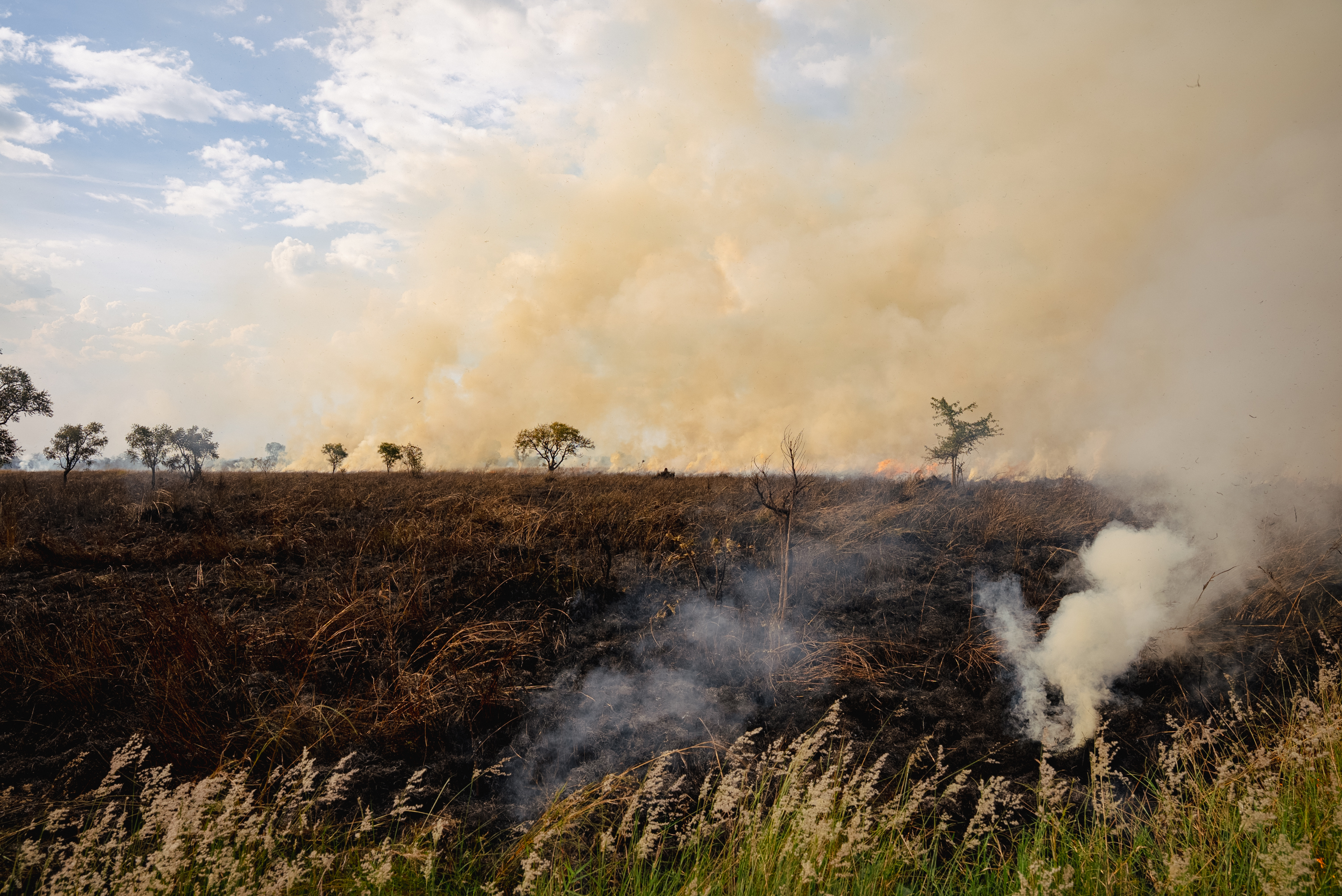 Grass fire burning across blackened rangeland
