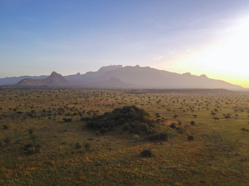 Aerial view of the wildlife corridor running through the reserve