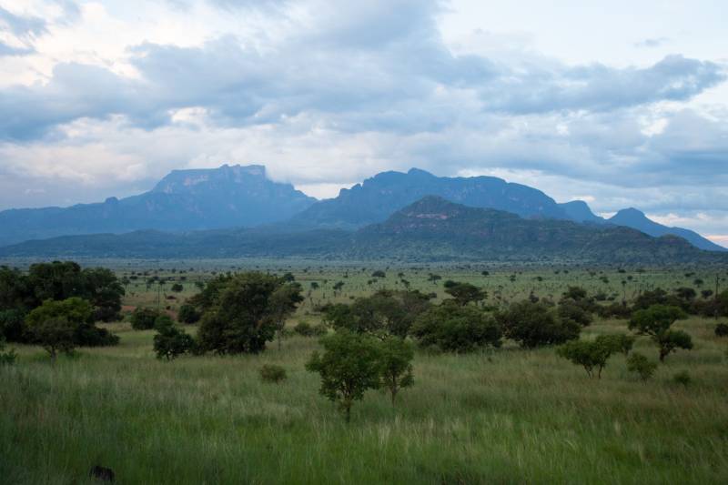 Open savannah stretching to the horizon at Pian Upe