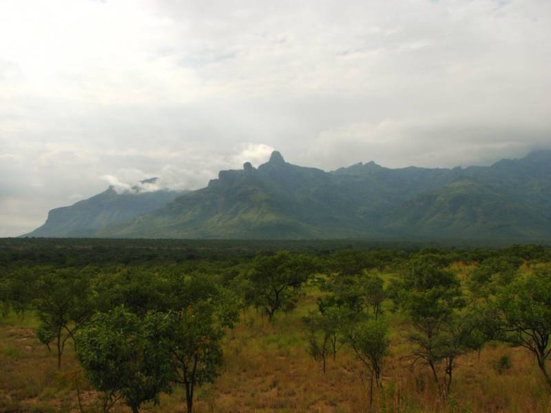 Mount Moroto rising above the Karamoja bush