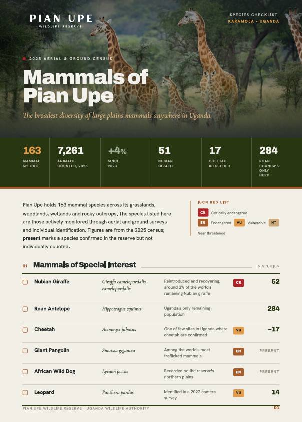 Cover of Mammals of Pian Upe