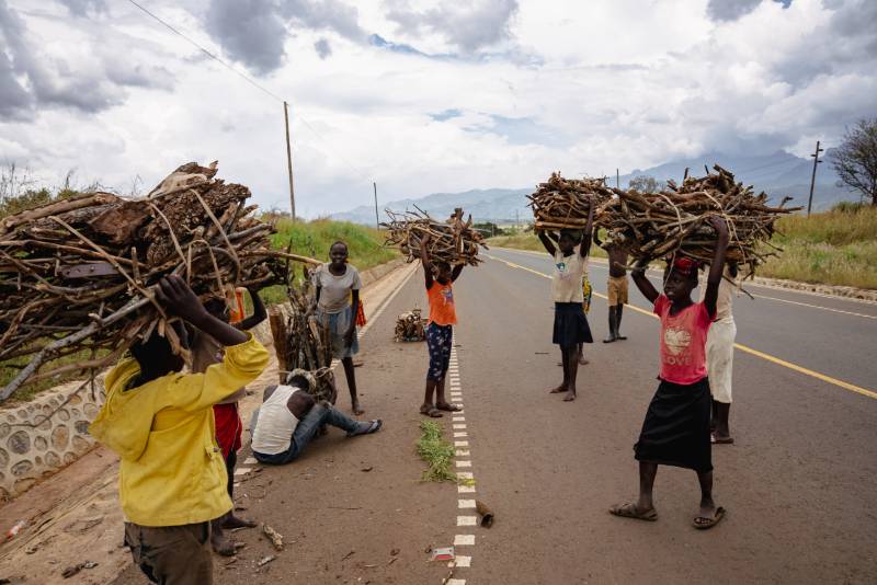 Children carrying bundles of firewood along the roadside beneath the mountains