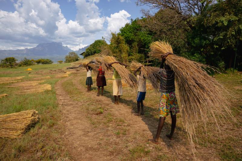 Children carrying bundles of thatching grass towards Mount Kadam