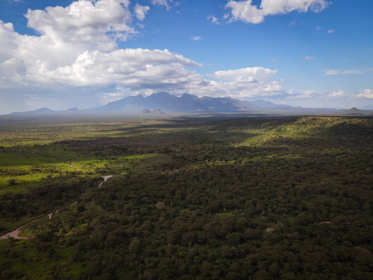 Mount Kadam rising above the green plains of Pian Upe
