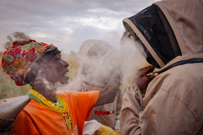 Beekeepers helping each other into veils amid smoke