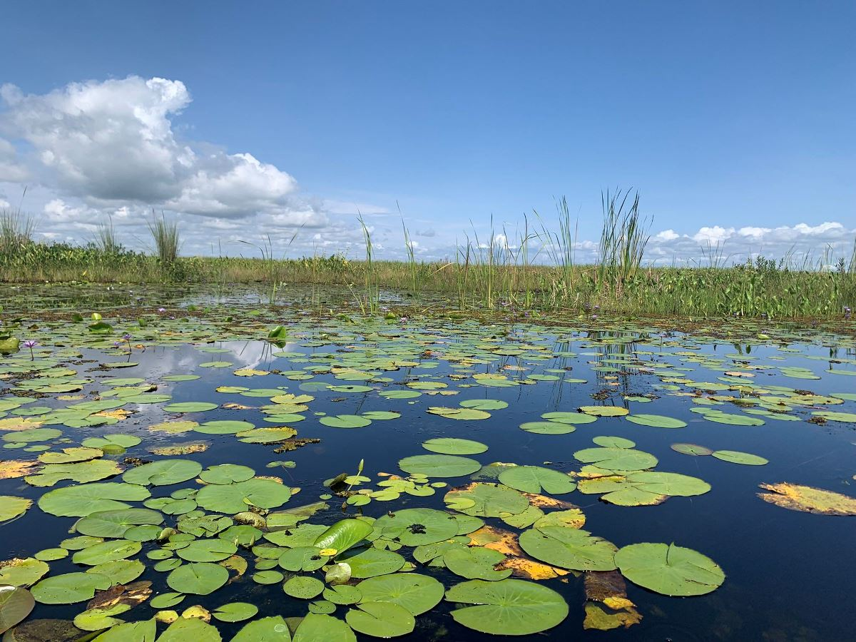 Lake Opeta through the seasons