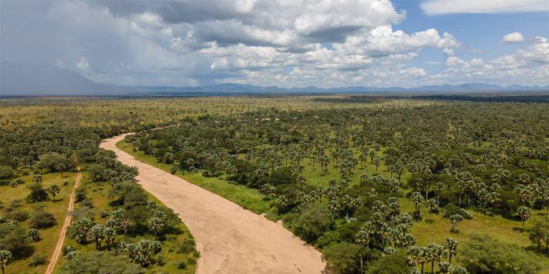 A sand river winding through the palms of Kidepo Valley