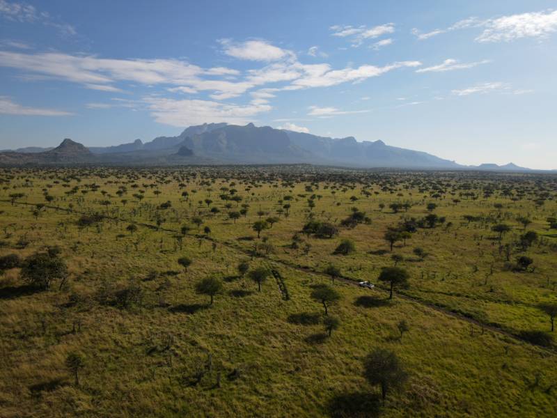 A track crossing the plains with Mount Kadam beyond