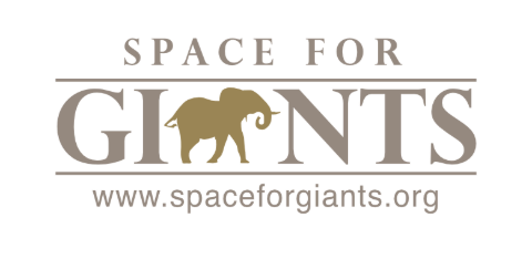 Space for Giants logo