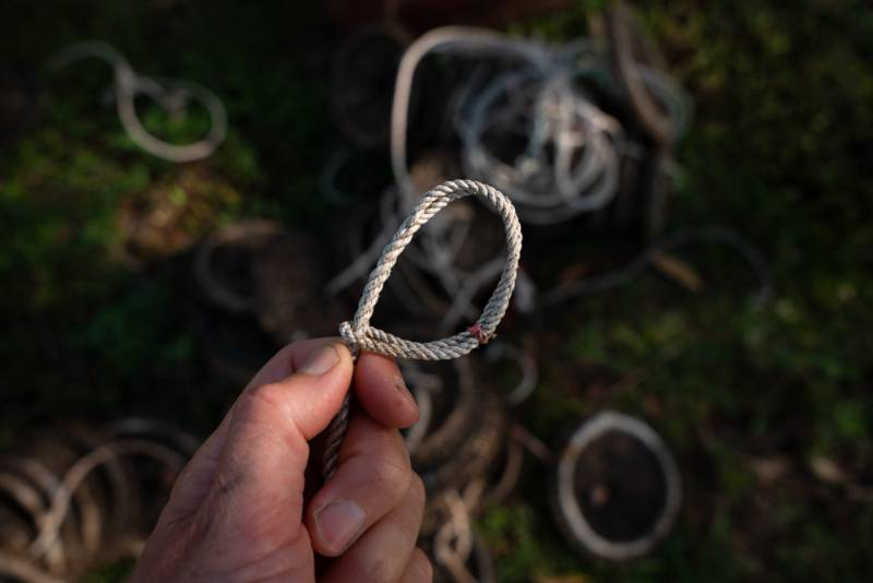 A wire snare held up, more recovered snares behind