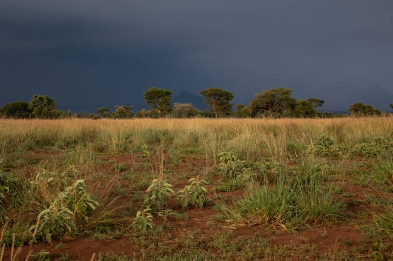 A storm front over dry grassland at the end of the day