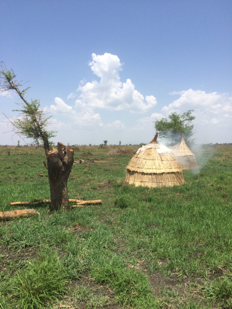 Thatched huts and a felled tree on the open plain