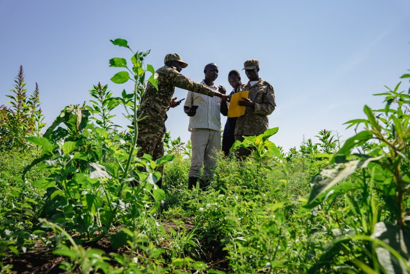 Rangers and community members recording a conflict incident in a cultivated field