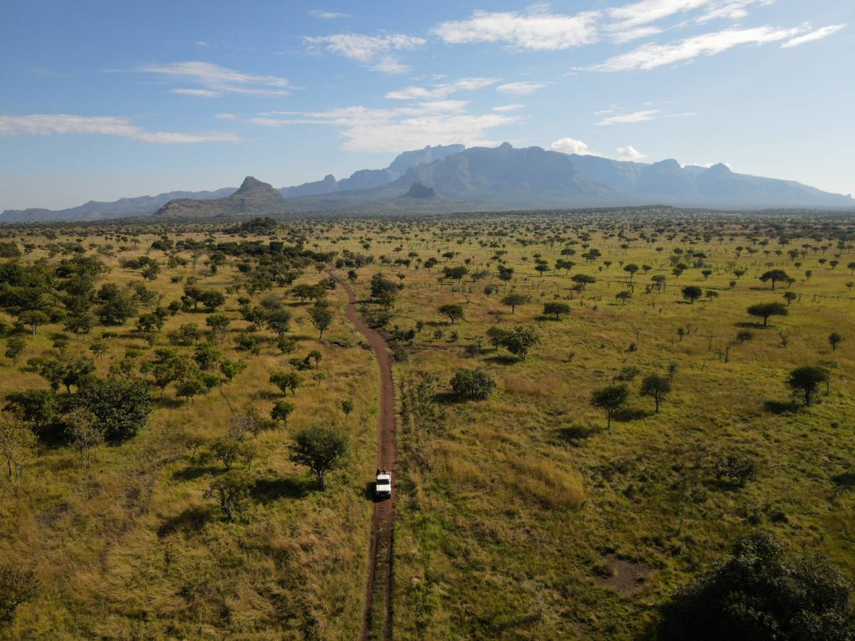 A vehicle on a track across the Pian Upe plains, Mount Kadam beyond