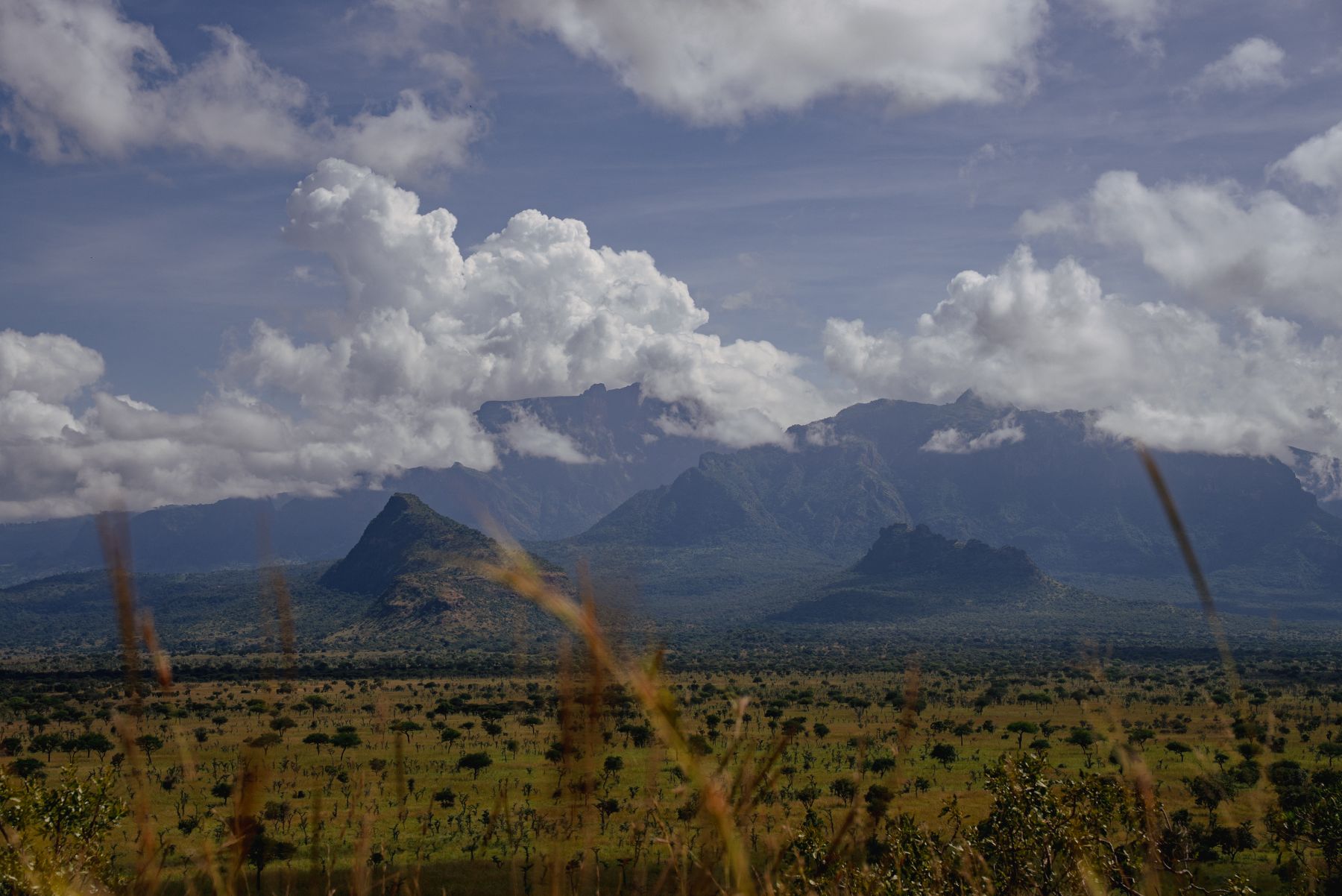 The massif over the savannah