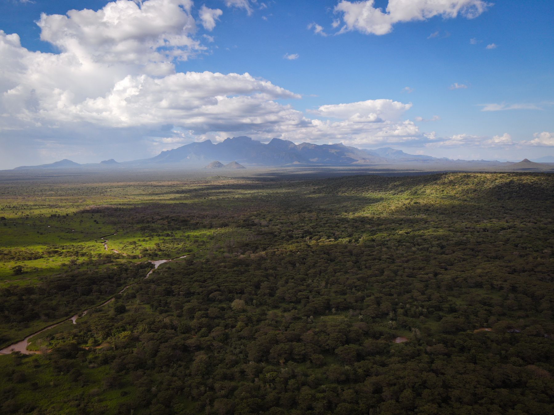 Mount Kadam rising over the plains
