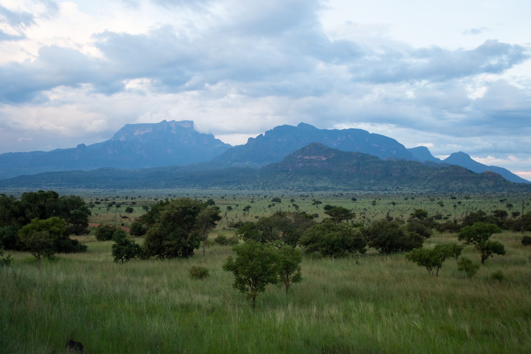 Mount Kadam rising over the Pian Upe savannah