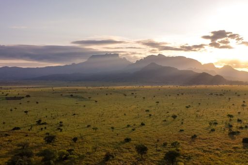 Uganda's Pian Upe Conservancy