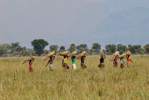 The People of Pian Upe
