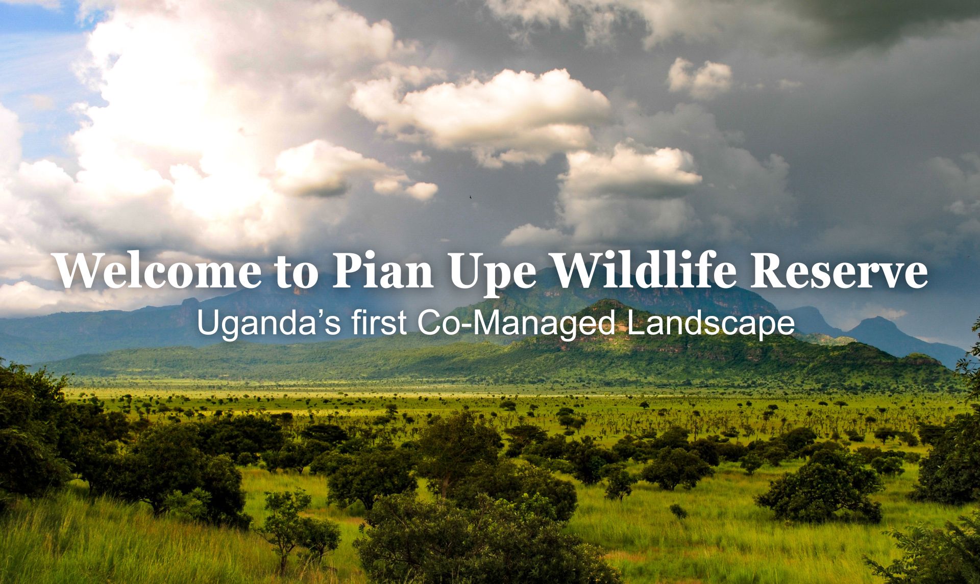 Pian Upe Wildlife Reserve Uganda